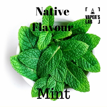 Фото, Відео на рідину Native Flavour Mint 100 ml