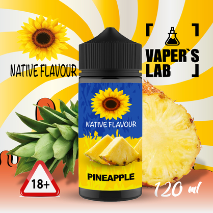 Фото жидкость для вейпа без никотина native flavour pineapple 120 ml