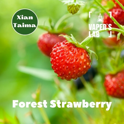 Фото, Видео, Арома для самозамеса Xi'an Taima "Forest Strawberry" (Земляника) 