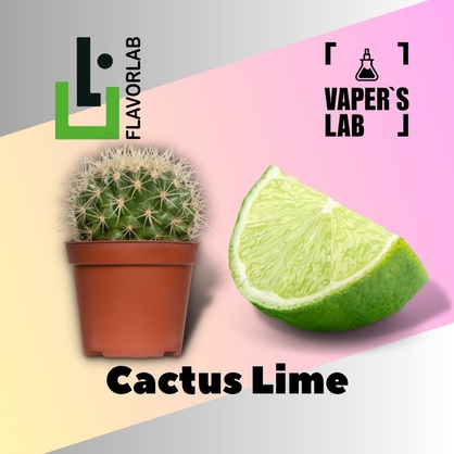 Фото, Відеоогляди на Ароматизатори Flavor Lab Cactus Lime 10 мл