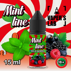 Жижи для пода Mint Line Salt 15 мл Wild born