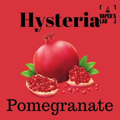 Фото, Видеообзор на жижку Salt Hysteria Salt Pomegranate 15 ml