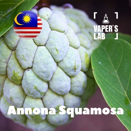 Фото, Відеоогляди на Aroma Malaysia flavors Annona squamosa