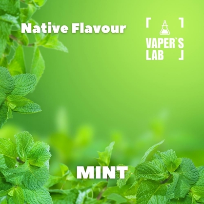 Фото для Аромки Native Flavour Mint 30мл