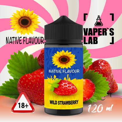 Фото купити жижу для вейпа без нікотину native flavour wild strawberry 120