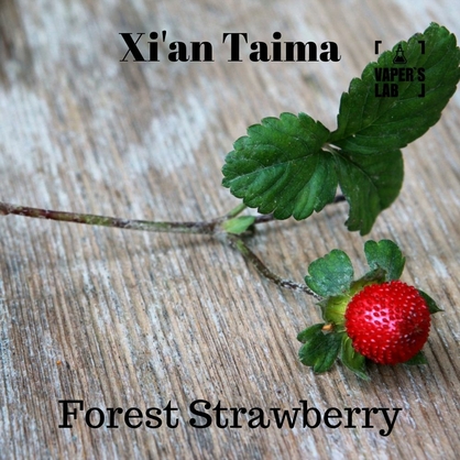 Фото, Відеоогляди на Ароматизатори для вейпа Xi'an Taima "Forest Strawberry" (Суниця) 