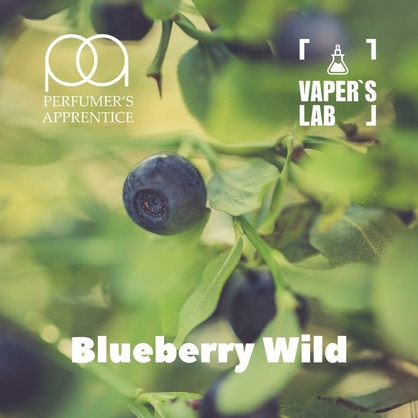 Фото, Видео, Аромки для самозамеса TPA "Blueberry Wild" (Свежая черника) 