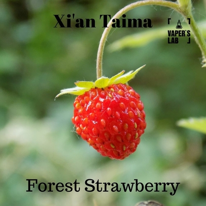 Фото, Видео, Арома для самозамеса Xi'an Taima "Forest Strawberry" (Земляника) 