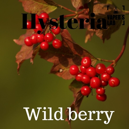 Фото заправка на вейп hysteria wild berry 100 ml