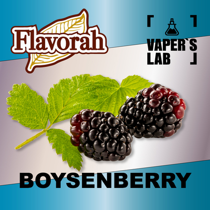 Фото на Аромку Flavorah Boysenberry Бойзенова ягода