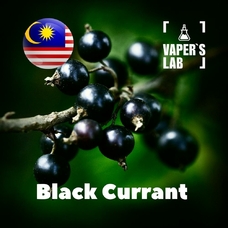 Ароматизаторы Malaysia flavors "Black Currant"