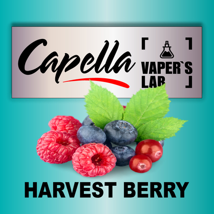 Фото на Ароматизатор Capella Harvest Berry Лісові ягоди