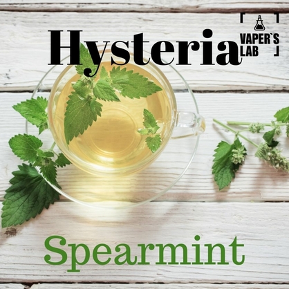 Фото, Видео на Жижи для вейпа Hysteria Spearmint 100 ml