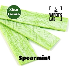 Ароматизатор Xi'an Taima Spearmint Мятная жвачка