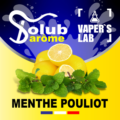 Фото, Відеоогляди на Ароматизатори для сольового нікотину Solub Arome "Menthe pouliot" (Лимон та м'ята) 