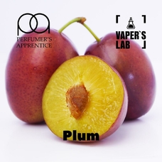  TPA "Plum" (Сочная слива)