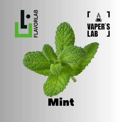 Фото на Аромки  для вейпа Flavor Lab Mint 10 мл