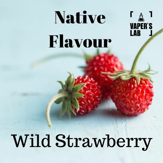 Відгуки на жижи для вейпа Native Flavour Wild Strawberry 100 ml