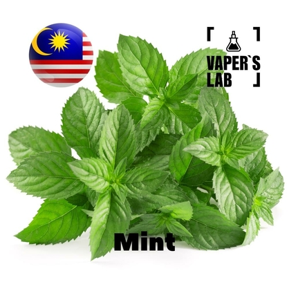 Фото на Ароматизатор для вейпа Malaysia flavors Mint