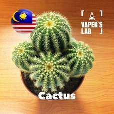 Ароматизатори для вейпа Malaysia flavors "Cactus"