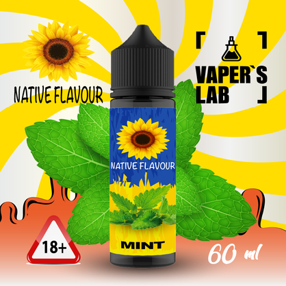 Фото купить жижу native flavour mint 60 ml