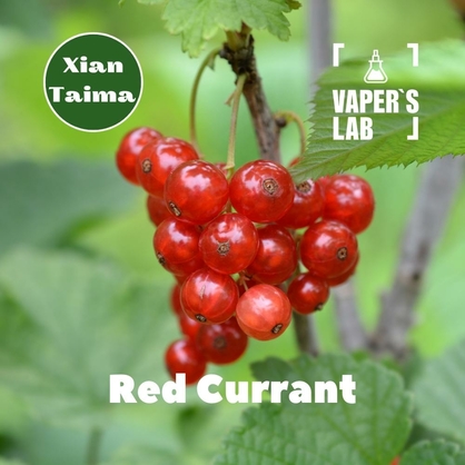 Фото, Видео, Ароматизаторы вкуса Xi'an Taima "Red Currant" (Красная смородина) 