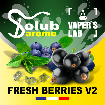 Фото, Відеоогляди на Натуральні ароматизатори для вейпа Solub Arome "Fresh Berries v2" (Чорниця смородина м'ята ментол) 