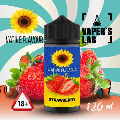 Фото жижа для вейпа без нікотину native flavour strawberry 120 ml