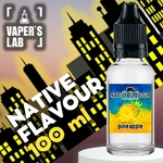 Native Flavour - Купити рідину для електронних сигарет 100 мл 