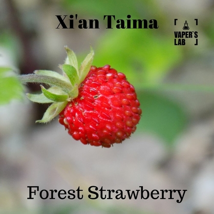 Фото, Відеоогляди на Ароматизатори для вейпа Xi'an Taima "Forest Strawberry" (Суниця) 