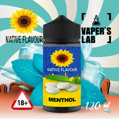 Фото жижа для вейпа купити native flavour menthol 120 ml