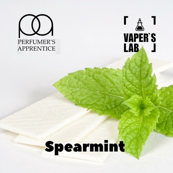 Відгуки на ароматизатор електронних сигарет TPA "Spearmint" (М'ята) 