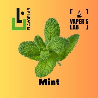 Фото, Відеоогляди на Аромки для вейпа Flavor Lab Mint 10 мл