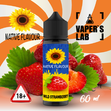 Жидкости для вейпа Native Flavour Wild Strawberry 60