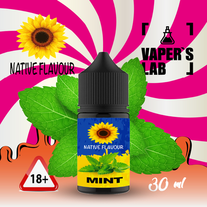 Фото жижа для пода native flavour salt mint 30 ml