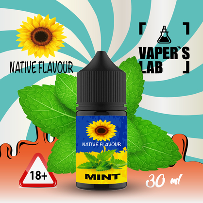 Фото жижа для пода native flavour salt mint 30 ml