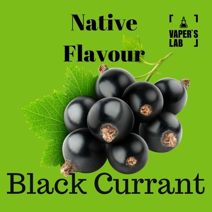 Фото жижа для электронных сигарет native flavour black currant 120 ml