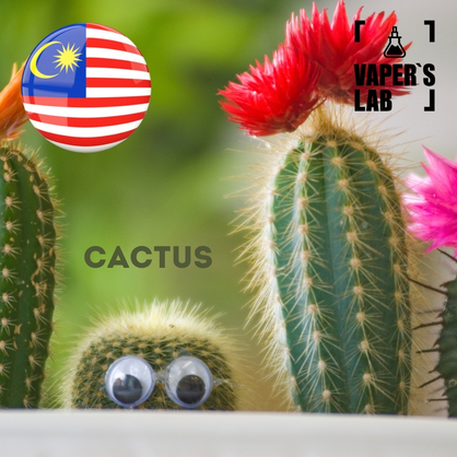 Фото, Відеоогляди на Ароматизатори Malaysia flavors Cactus