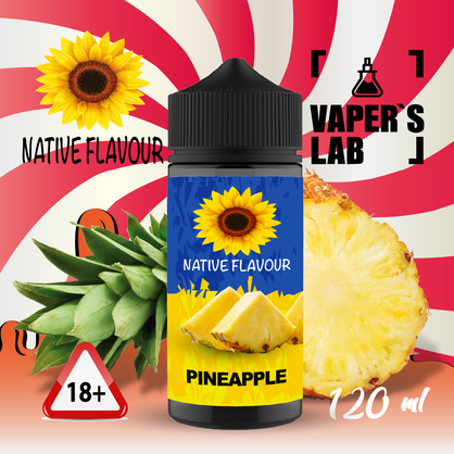 Фото жидкость для вейпа без никотина native flavour pineapple 120 ml