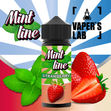 Жижа 120 мл - Жидкость для вейпа Mint line 120 мл Strawberry