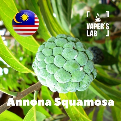 Фото, Відеоогляди на Aroma Malaysia flavors Annona squamosa