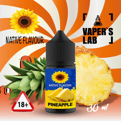 Фото жижа для пода native flavour salt pineapple 30 ml