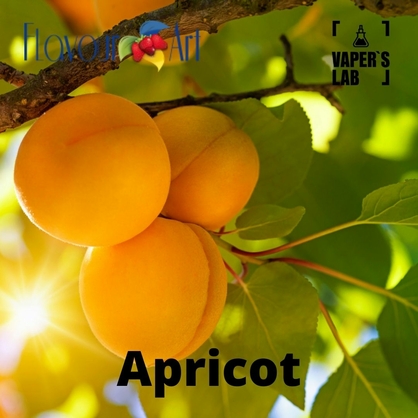 Фото, Відеоогляди на Аромку для вейпа FlavourArt Apricot Абрикос