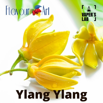 Фото, Відеоогляди на Ароматизатори FlavourArt Ylang Ylang Іланг-іланг