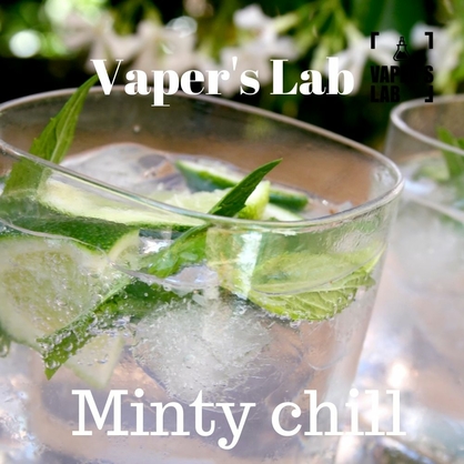 Фото, Видео на Жижи без никотина Vapers Lab Minty chill 60 ml