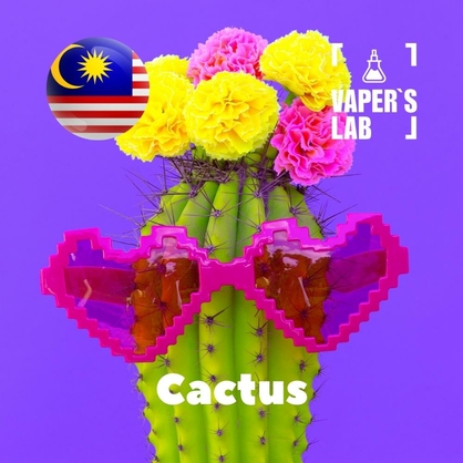 Фото, Відеоогляди на Ароматизатори Malaysia flavors Cactus