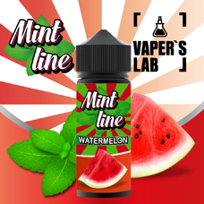 Жижа 120 мл - Жидкость для вейпа Mint line 120 мл Watermelon