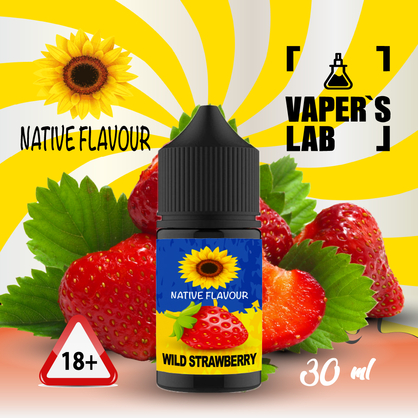 Фото сольова жижа для пода native flavour salt wild strawberry 30 ml