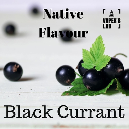 Фото, Видео на жижи для вейпа Native Flavour Black Currant 100 ml