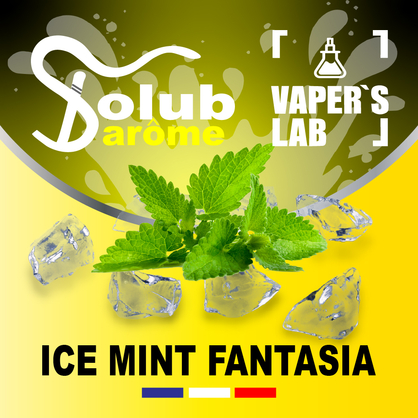 Фото, Відеоогляди на Арома для самозамісу Solub Arome "Ice mint fantasia" (М'ята ментол та кулер) 